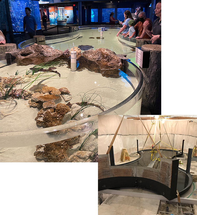 Visitors interact with a touch pool containing rocks and plants; construction of a similar pool is shown in the inset.