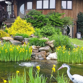 6000 gallon Koi pond installation and maintenance in norwell, MA