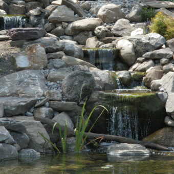 6000 gallon koi pond - design-build-maintenance - private residence, lychfield, CT.