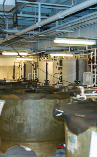 20000 gallon TSV, Multi use, Multi species aquaculture systems, New Haven, CT