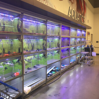 Fresh water Retail Fish holding System - Warwick, RI