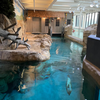 160000 gallon salt water Seal exhibit, LSS installation in Maritime Aquarium, New Norwalk, CT, AEI, COST.