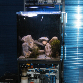 120 gallon salt water Sea Horse Exhibit, installation in New Bedford, MA