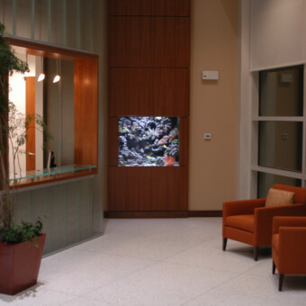 300 gallon salt water coral reef aquarium Design, installation and maintenance, corporate office in Windsor