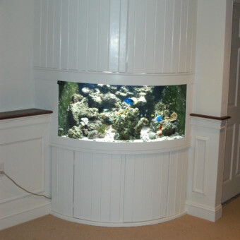 150 gallon living reef aquarium installation and maintenance in Glastonbury, CT