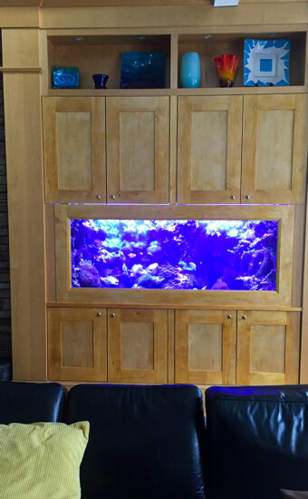 Cabinet Aquarium