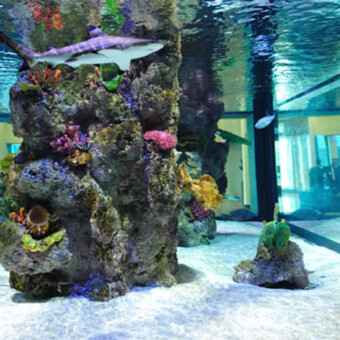 22,000 gallon salt water shark exhibit, repair and maintenance in Melville, NY