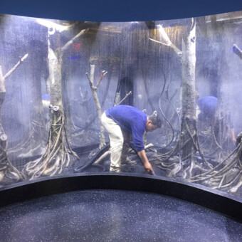 3500 gallon salt water fish exhibit, installation in Staten Island Aquarium, NY.
