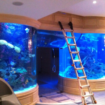 9000 gallon salt water fish only aquarium, repair & maintenance in Muttontown, NY
