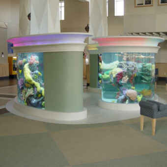 5000 gallon salt water fish only exhibit, repair and maintenance in west Chester, NY