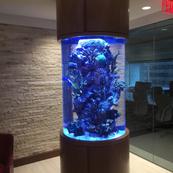 250 gallon salt water fish only aquarium, design, build and maintenance in Boston, MA