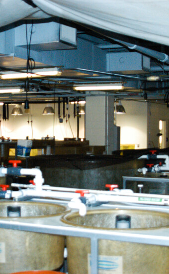 Multi use, Multi species aquaculture systems, New Haven, CT Aquarium Workshop