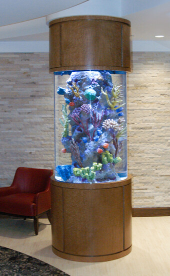 Column Shaped Aquarium